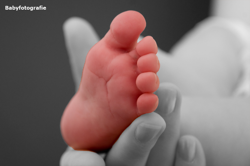 Babyfotografie, Babyfuß in Hand von Mutter