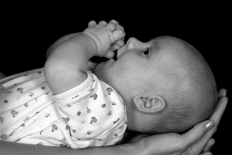 Babyfotografie, Babykopf in Hand von Mutter